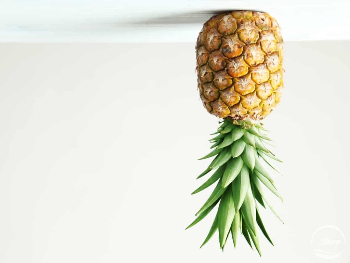 Upside-down Pineapple 