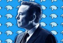 Elon Musk's Twitter's content moderation is danger as the head of the team resigns from the position