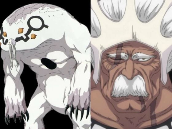 How Strong Are Barragan And Ikomikidomoe From 'Bleach' Universe?