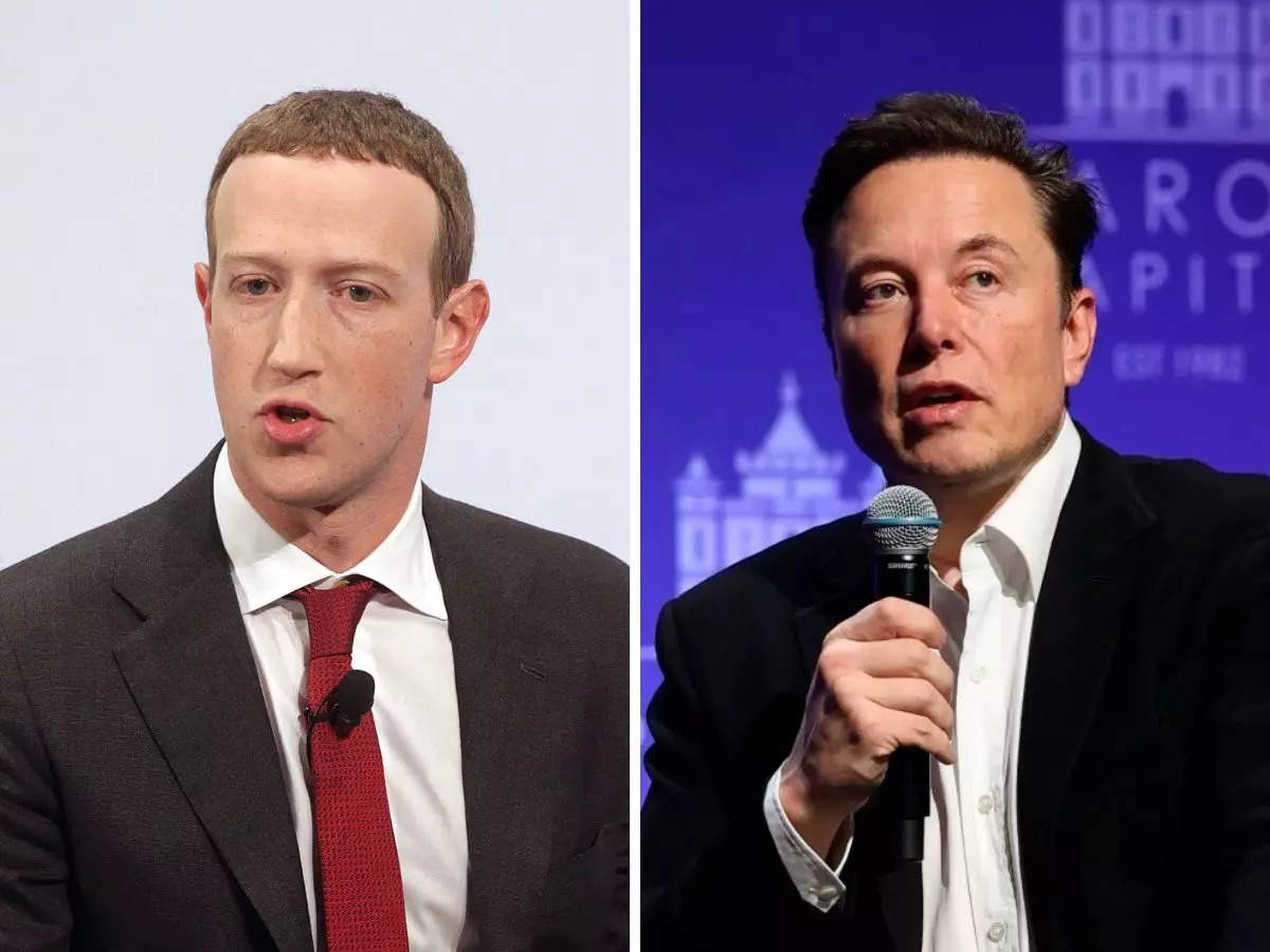 Mark Zuckerberg and Elon Musk