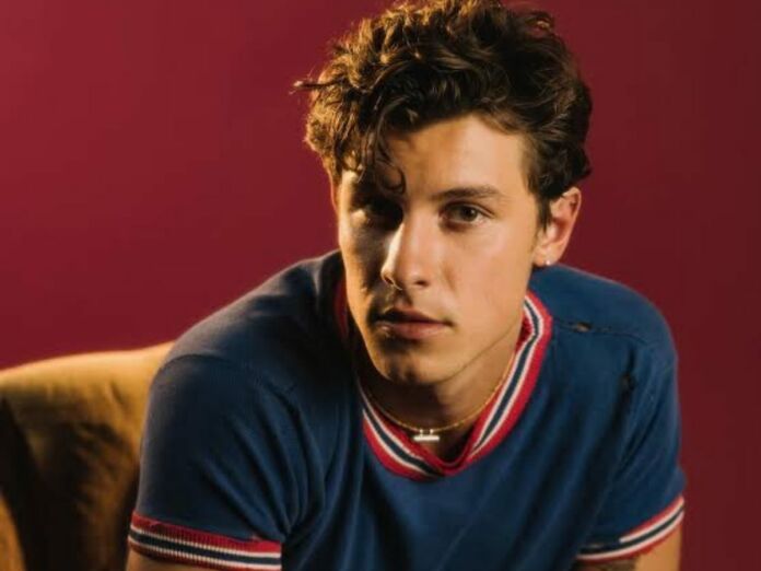 Shawn Mendes opens about going to therapy after canceling the 'Wonder' Tour