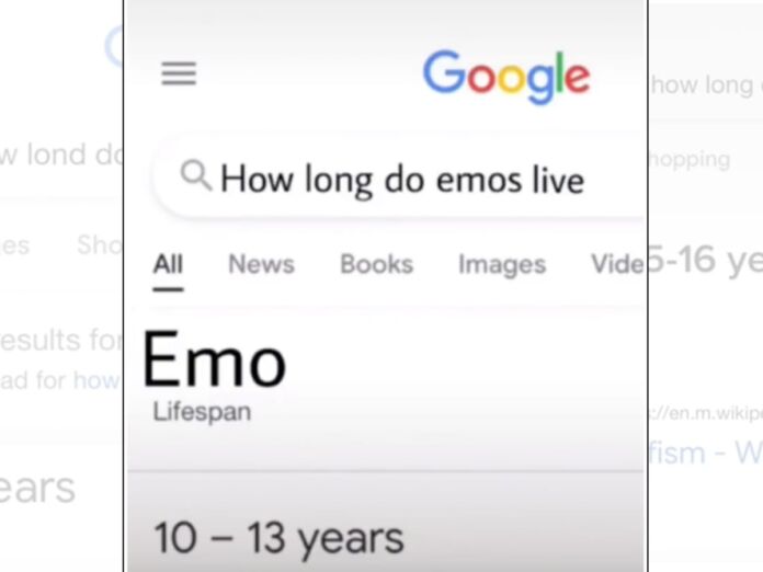 ‘How Long Do Emos Live?’ meme