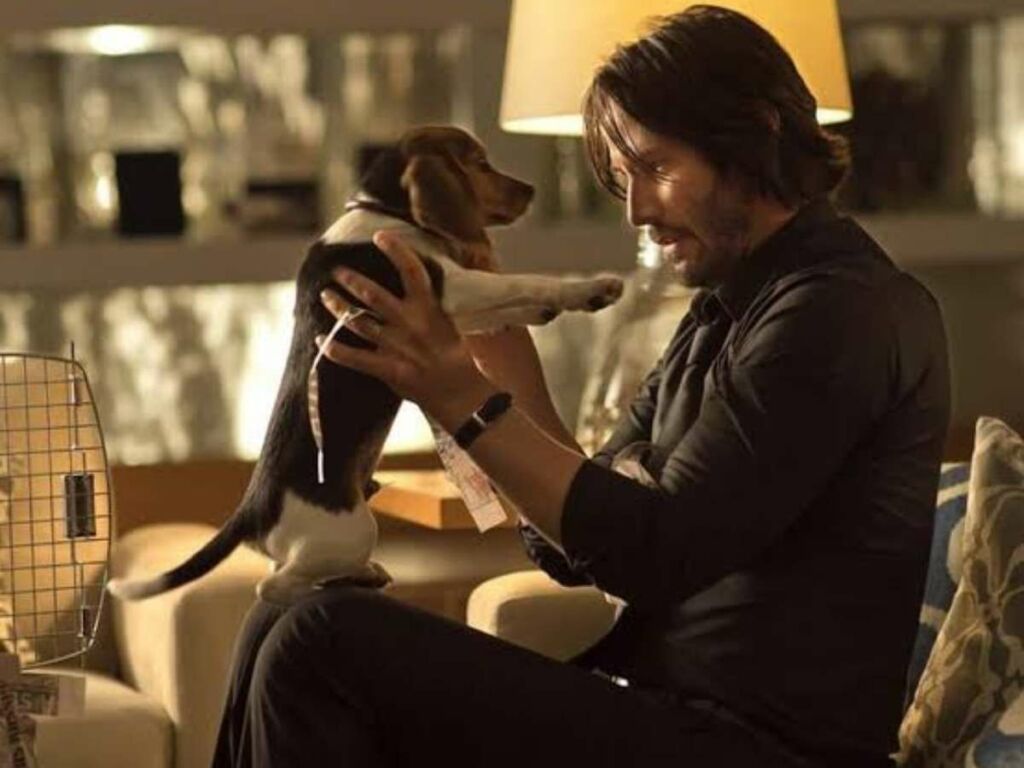 Keann Reeves' John Wick has put down armies of enemies in the ground.