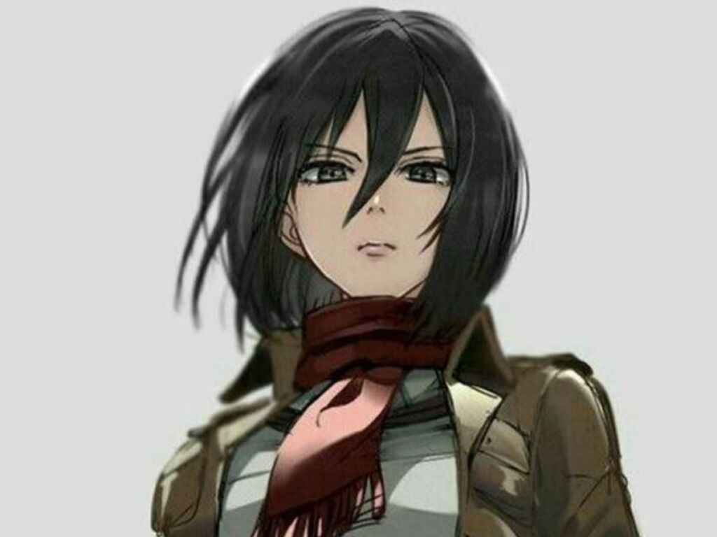 Mikasa