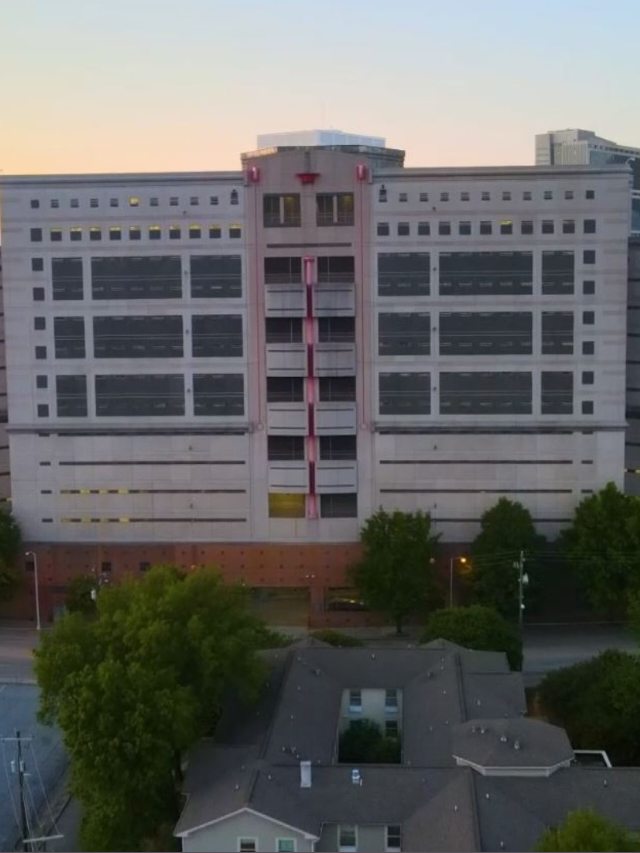 Man Eaten Alive By Bed Bugs In Jail Cell In Atlanta US - First Curiosity