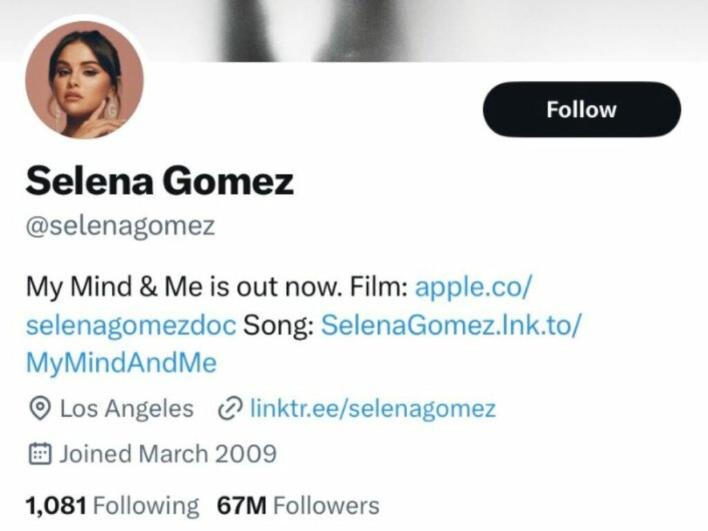 Selena Gomez's Twitter account