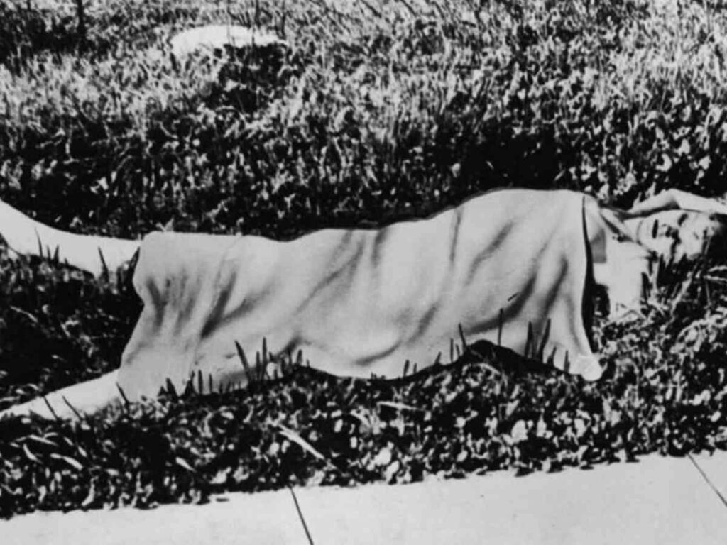 Elizabeth Short's body was found on morning of January 15, 1947