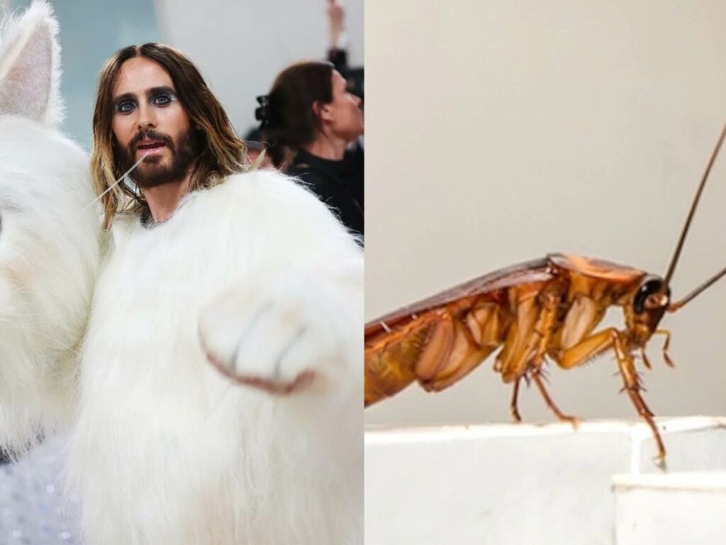 "Leto's Third Outfit For The Night" A Cockroach Made Its Way To Met