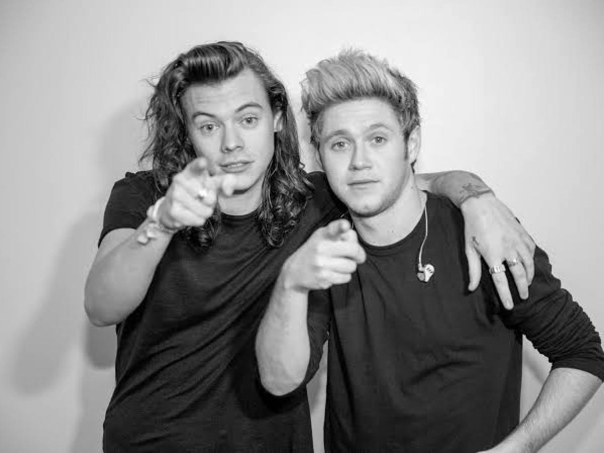 Niall Horan Reacts To Harry Styles' 'Never Say Never' Comment On One