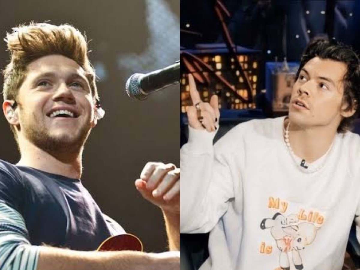 Niall Horan reacts to Harry Styles' 'never say never' comment