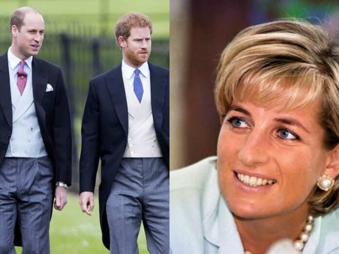Prince William and Prince Harry had a secret meeting with Princess Diana's butler in 2017