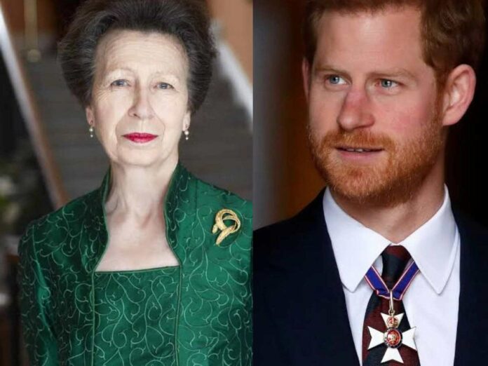 Princess Anne, despite being an ally, is furious at Prince Harry for maligning the public image of the royal family