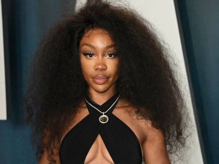 SZA thinks fame is fickle