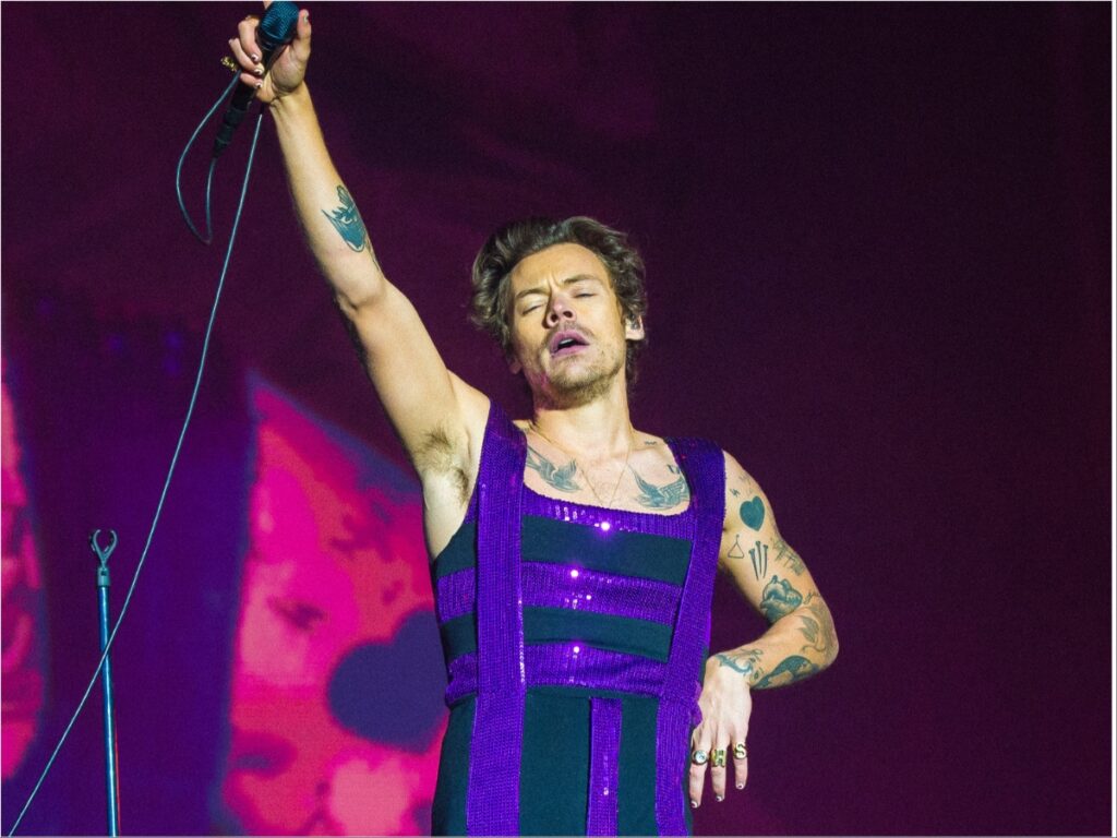 Harry Styles helped one of his fans at a concert