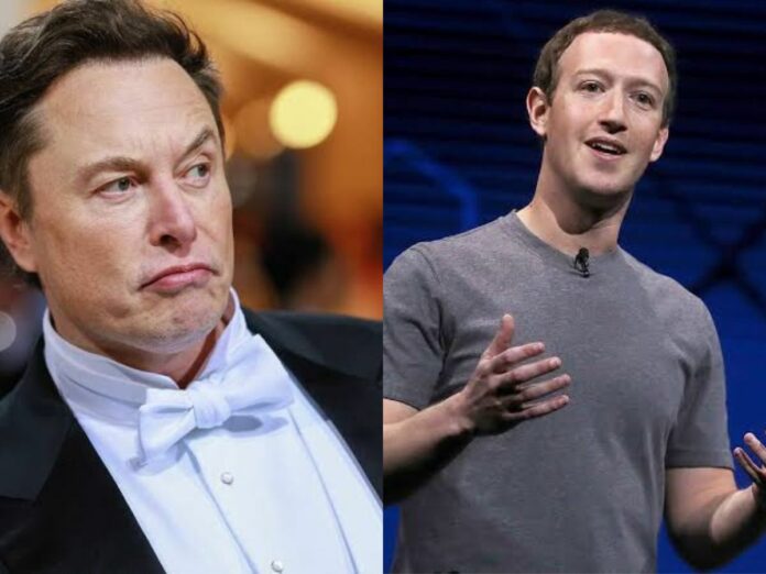 Elon Musk wanted to fight Mark Zuckerberg