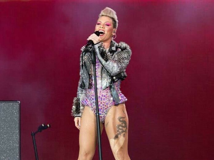 Pink was left stunned when a fan threw their mother's ashes on stage while she was performing