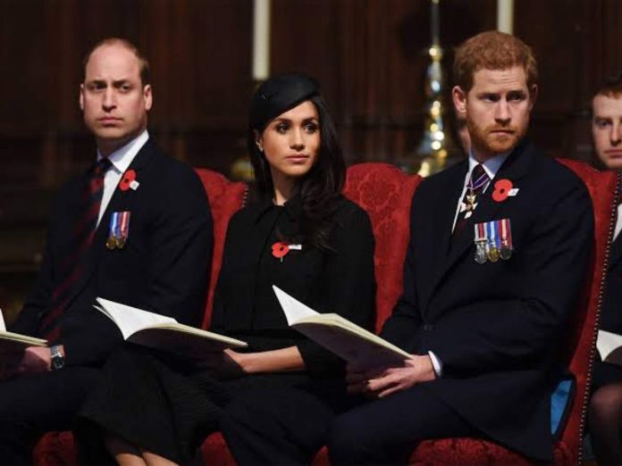 Prince Harry extended a phone call to call truce with Prince William without informing Meghan Markle