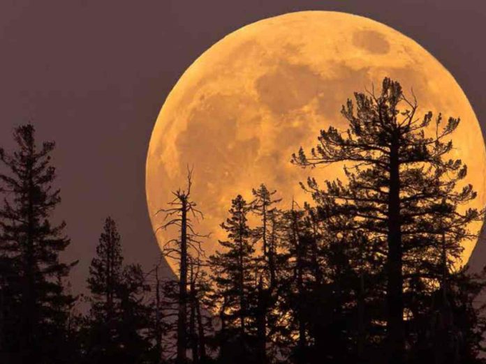 Four consecutive super moons to occur this year