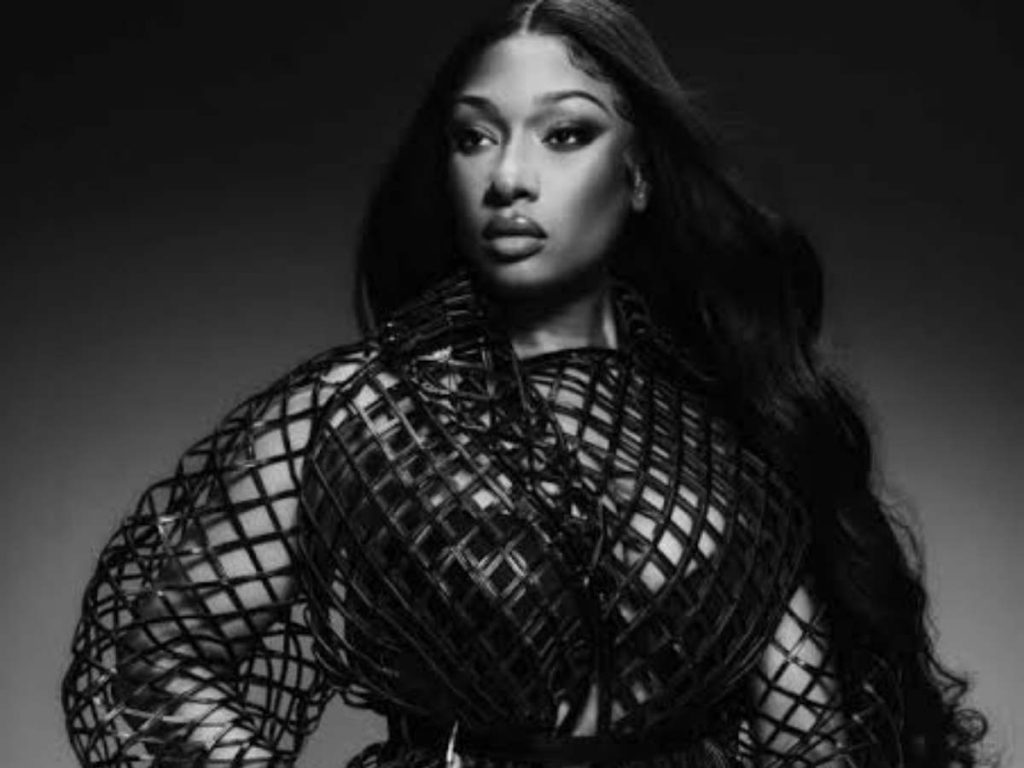 Police Authorities Get Involved In Nicki Minaj And Megan Thee Stallion