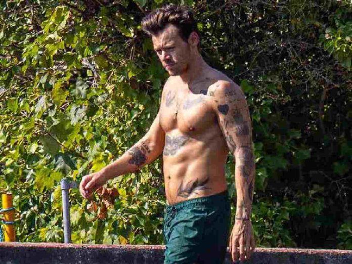 Harry Styles flaunts his ripped abs during a dip in a bathing pond in London