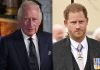King Charles III blames Prince Harry for the leak of the news about the private call on his birthday