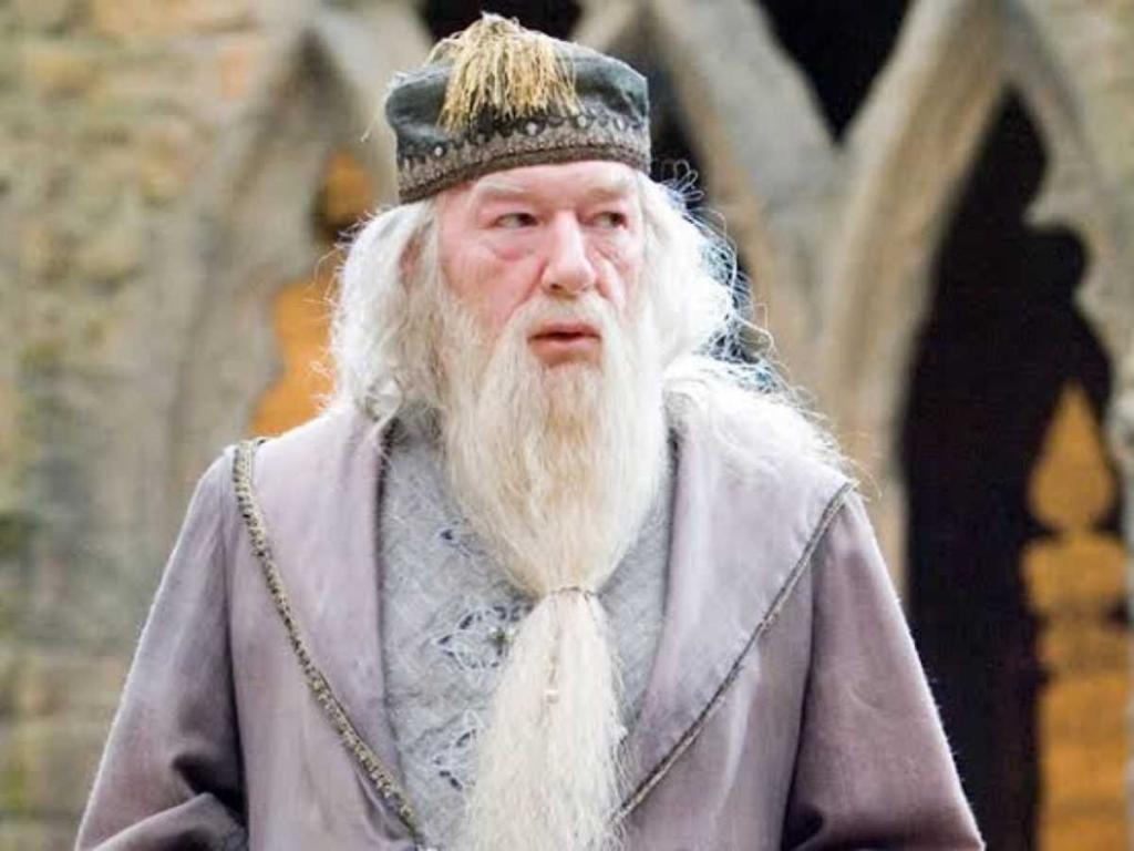 Michael Gambon as Harry Potter