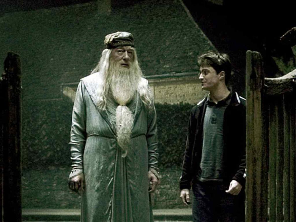Daniel Radcliff and Michael Gambon in the 'Harry Potter' series 