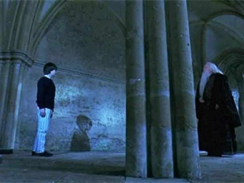 Harry Potter And Dumbledore in Chamber of Secrets 