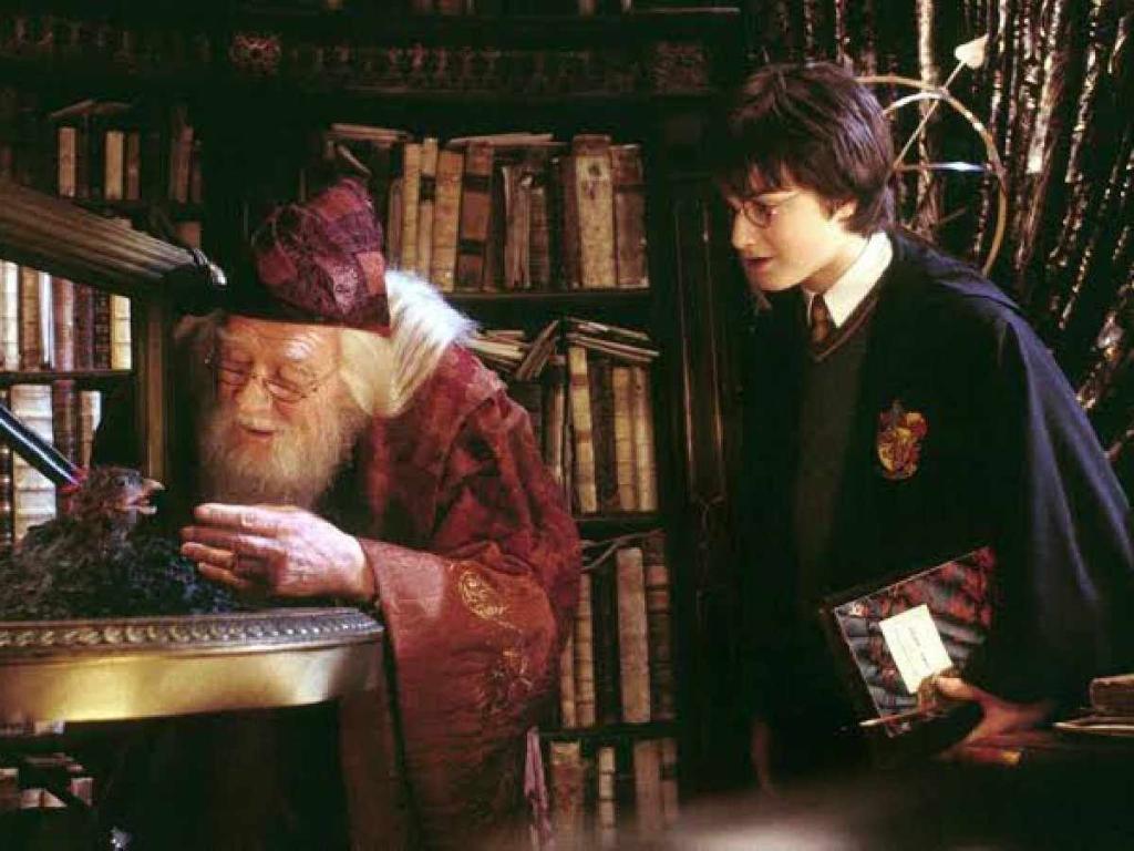 Harry Potter And Dumbledore in Harry Potter