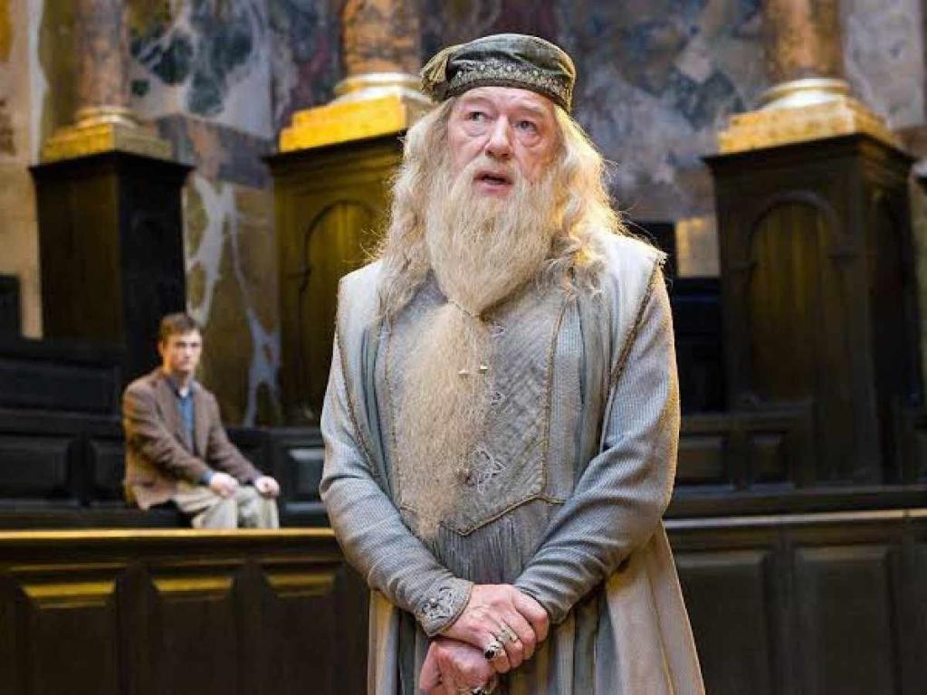 Harry Potter And Dumbledore in Harry Potter