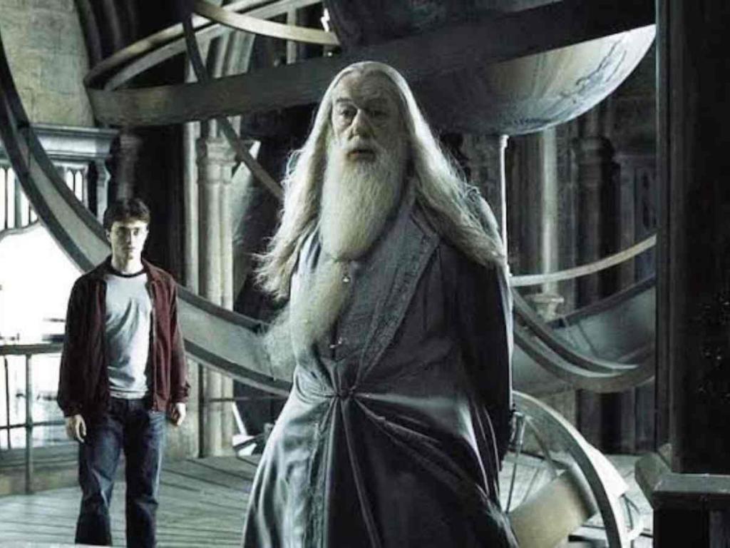 Harry Potter And Dumbledore in Harry Potter