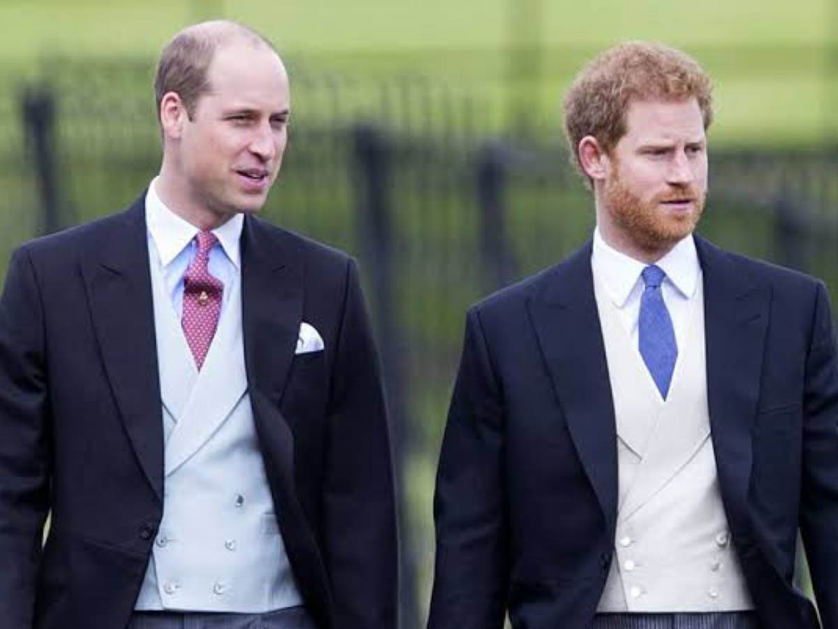 Prince William is angry with Prince Harry for continuing the deal with Netflix after they mocked their mother's death