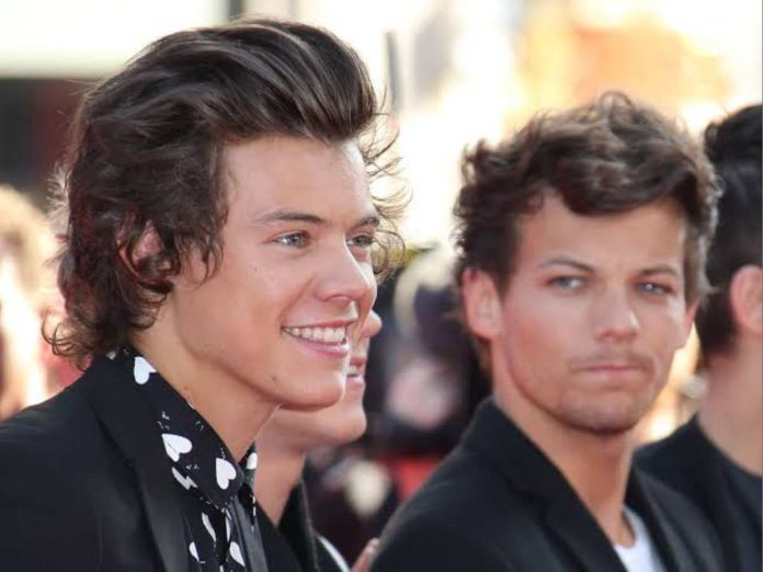 What is the Larry Stylinson theory?