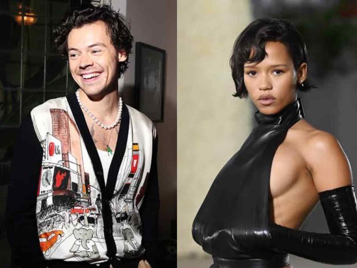 Have Harry Styles and Taylor Russell parted ways?