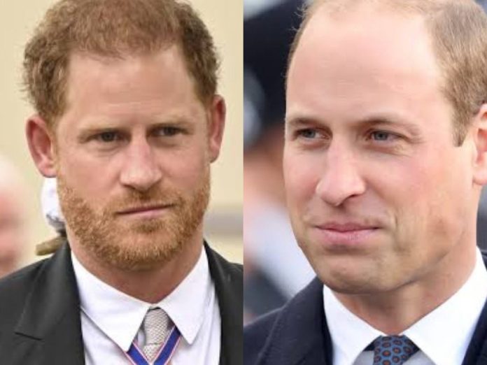 Prince Harry and Prince William's broken relationship is irreparable