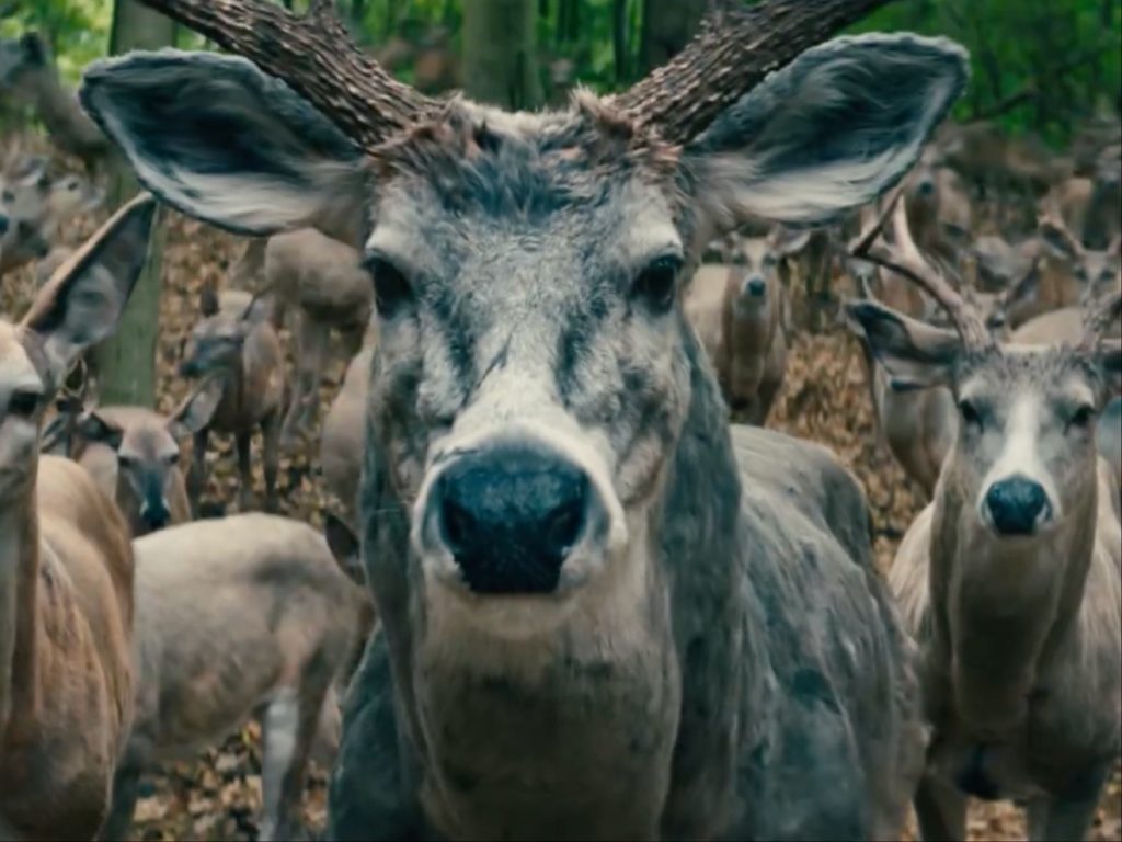 The deer have a creepy presence in the Netflix film