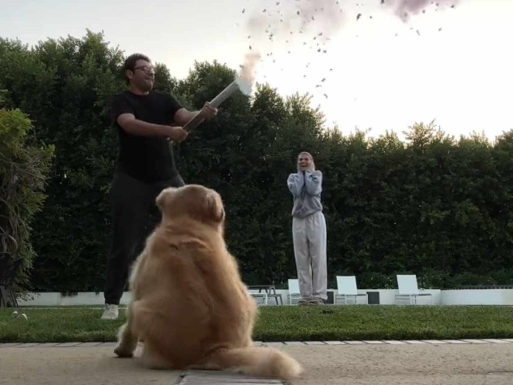 Sofia Richie and husband Elliot Grainge with their Dog