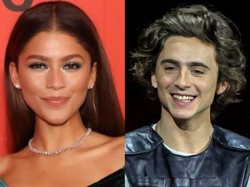 Zendaya Reveals Helping Timothée Chalamet Set Up His New York Apartment