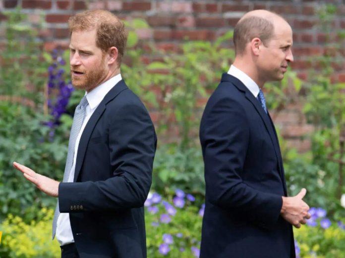 Prince William and Prince Harry (Image: Getty)