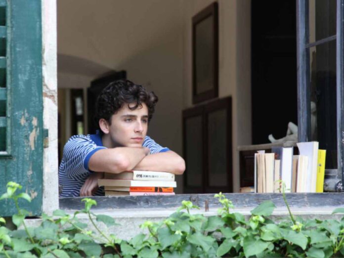Timothée Chalamet in 'Call Me By Your Name'
