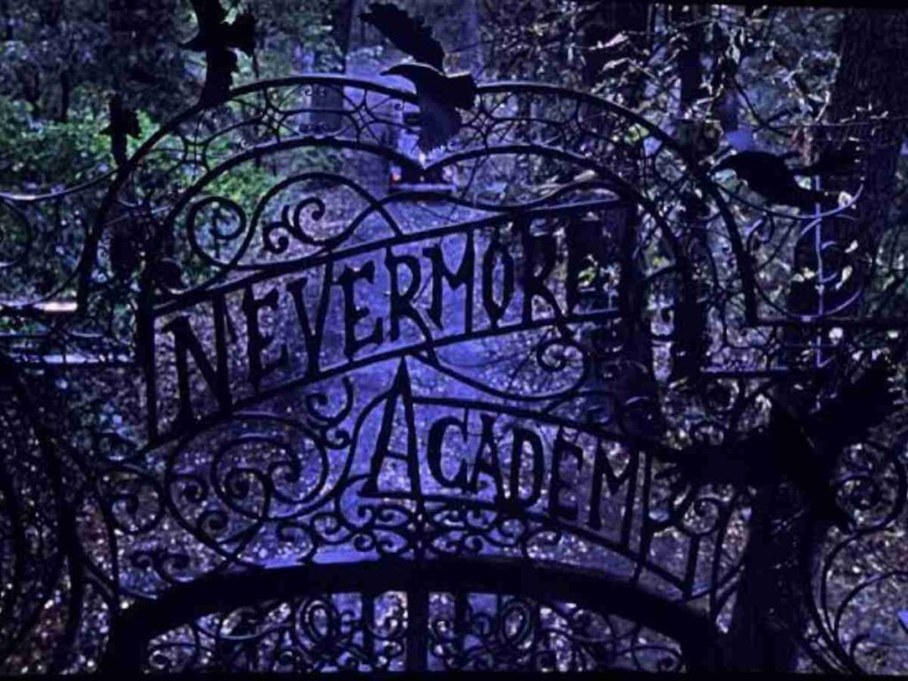 Never More Academy