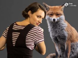 The Brilliant Symbolism Behind 'Fleabag' Fox In Phoebe Waller Bridge's