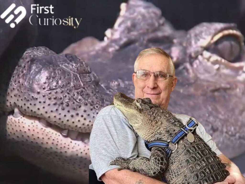 Wally The Emotional Support Alligator 