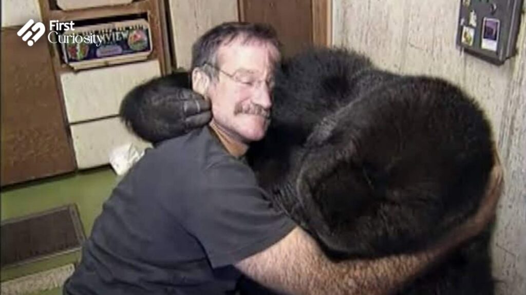 Robin Williams hugs Koko