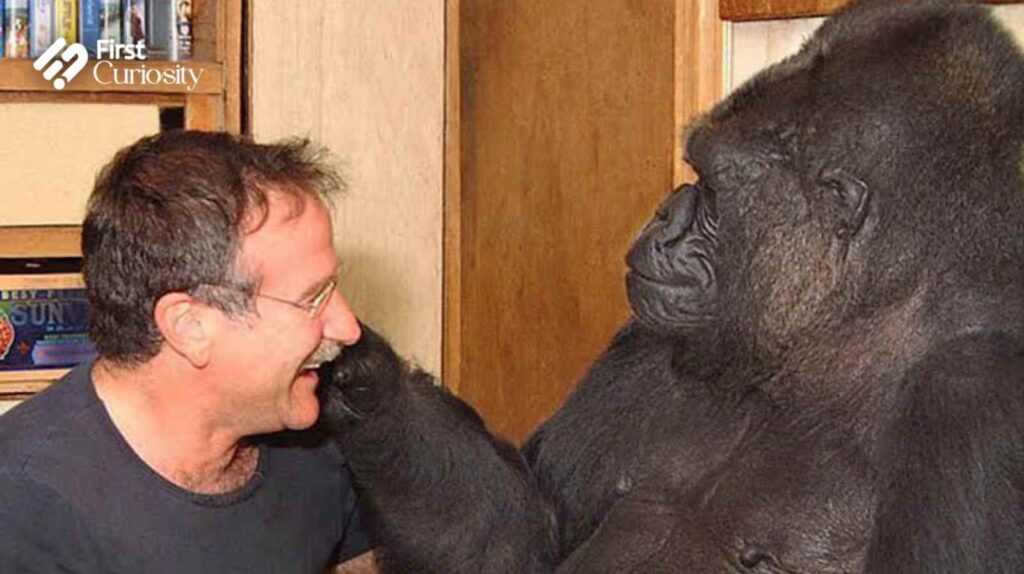 Robin Williams and Koko