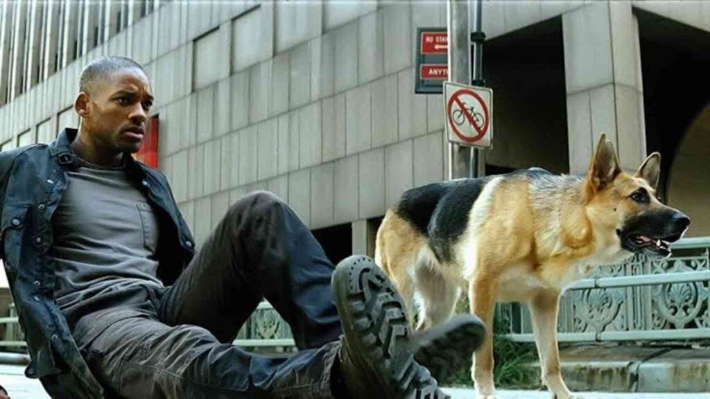 Sam and Neville in I Am Legend