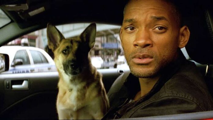 Sam and Neville in I Am Legend