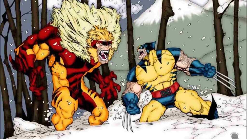 Sabretooth and Wolverine