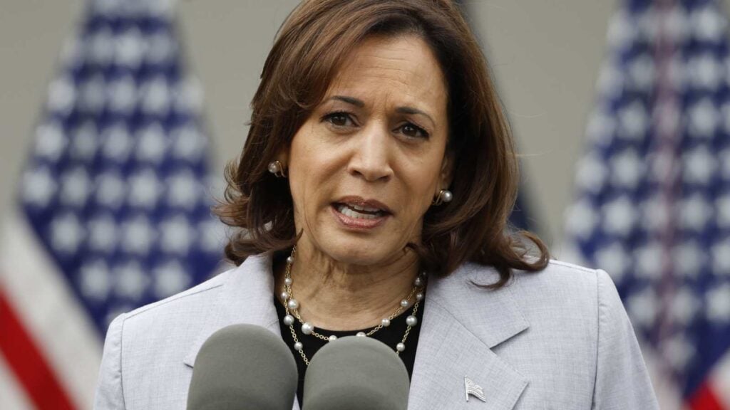 Kamala Harris (Image: AP)