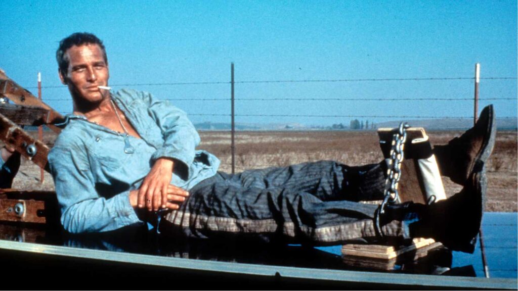 Still from ' Cool Hand Luke' (Image: Prime Video)